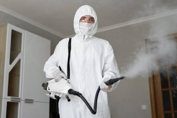 Best Mold Remediation for Healthcare Facilities  in New Smyrna Beach, FL